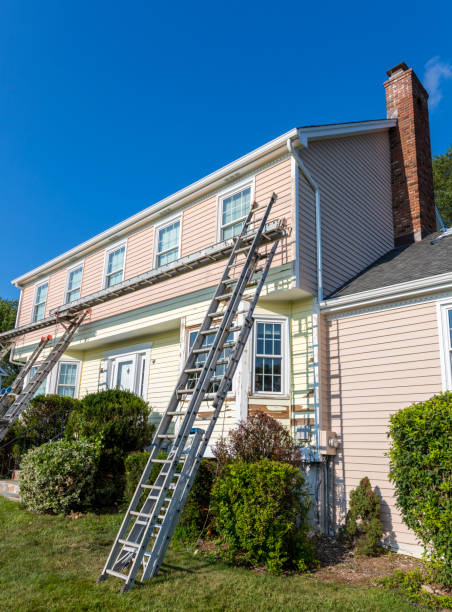 Trusted Alamo, TX Siding Installation & Repair Experts