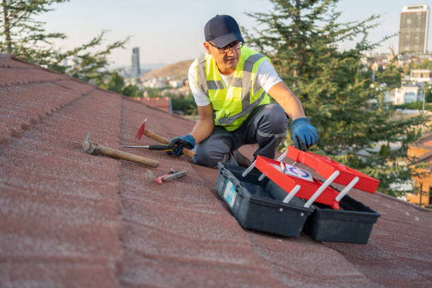 Best Wood Siding Installation  in Alamo, TX