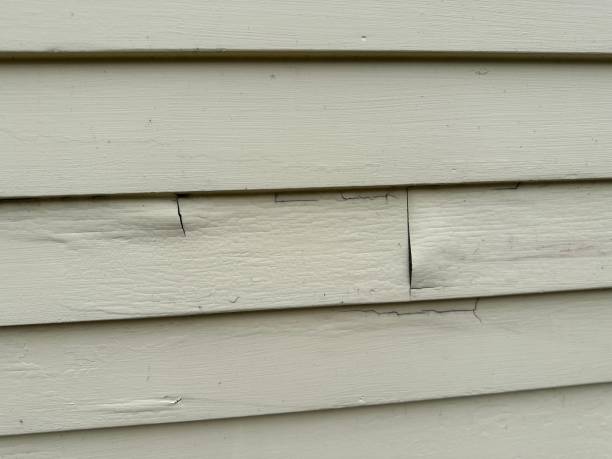 Best Siding Painting and Refinishing  in Alamo, TX